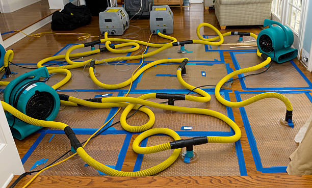 Professional Water Damage Restoration technician working in Shorewood, WI